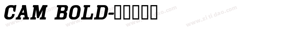 Cam Bold字体转换